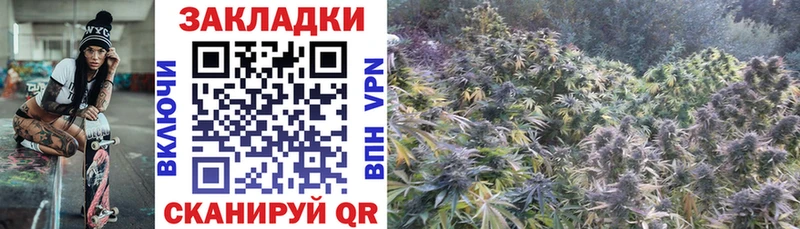 Купить наркотики Саранск Конопля  А ПВП  ГАШ  Псилоцибиновые грибы  Меф мяу мяу  АМФЕТАМИН 