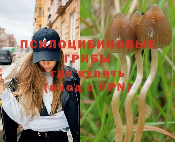 spice Белокуриха