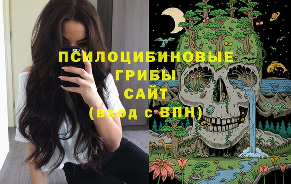 spice Белокуриха