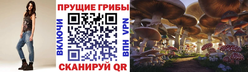 Галлюциногенные грибы ЛСД  Саранск 